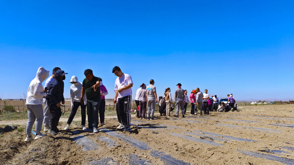 走进田园 播种希望|尊龙凯时人生就是博物流春种团建活动