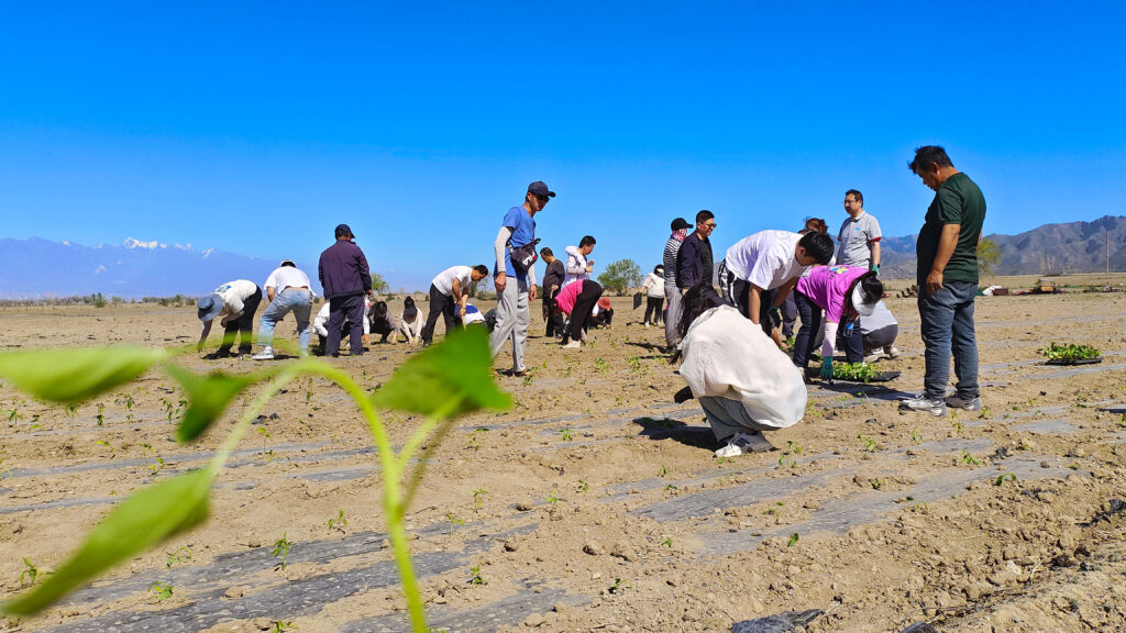 走进田园 播种希望|尊龙凯时人生就是博物流春种团建活动