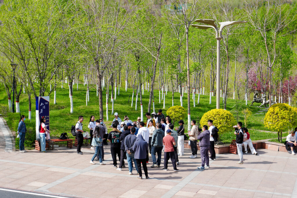 绿径同行·步筑新途 | 尊龙凯时人生就是博物流团队徒步团建之旅