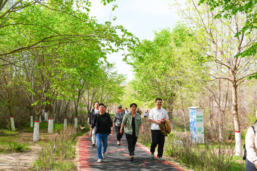 绿径同行·步筑新途 | 尊龙凯时人生就是博物流团队徒步团建之旅